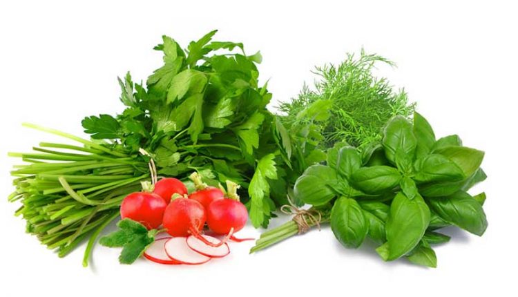 هزاران خاصیت سبزی خوردن که از آن اطلاع ندارید